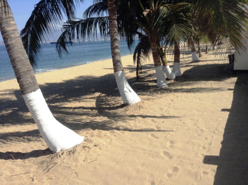 Coral Pacifico Hotel Y Villas มานซานิโญ ภายนอก รูปภาพ